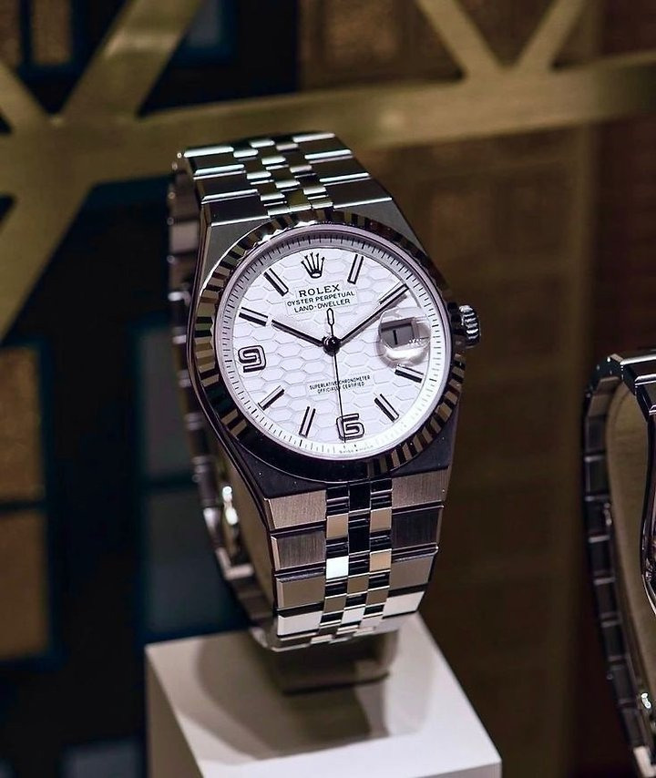 New watches 2025 THE Land-Dweller